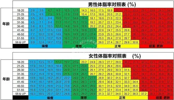 补钙补铁的食物有哪些