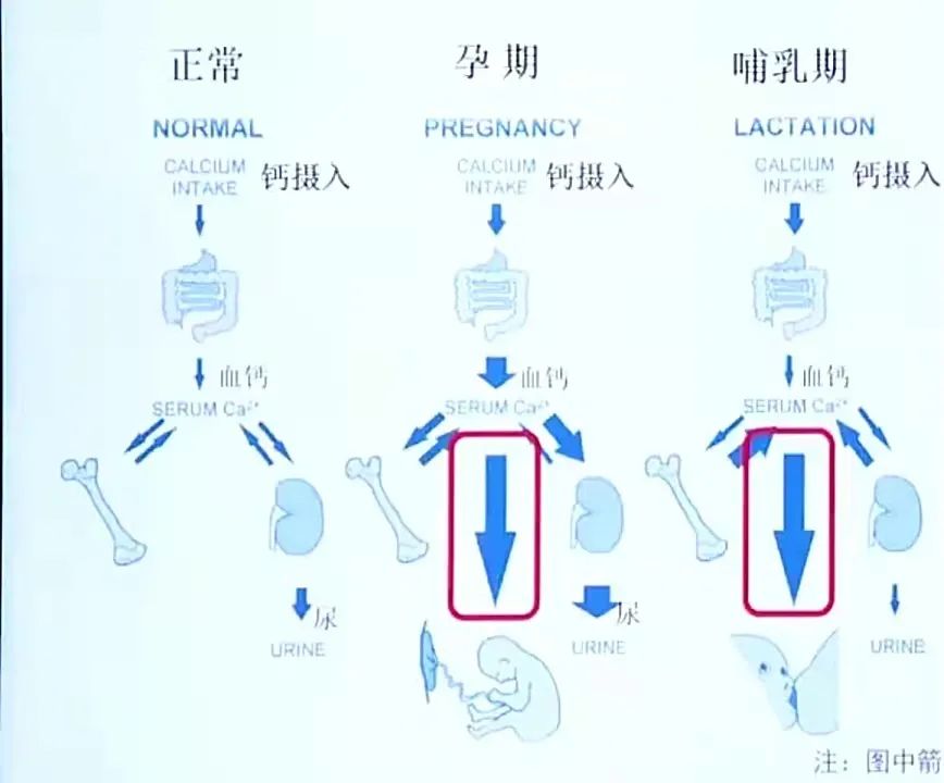 四个月宝宝可以补钙吗