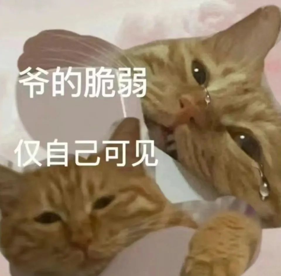 猫怎么补钙