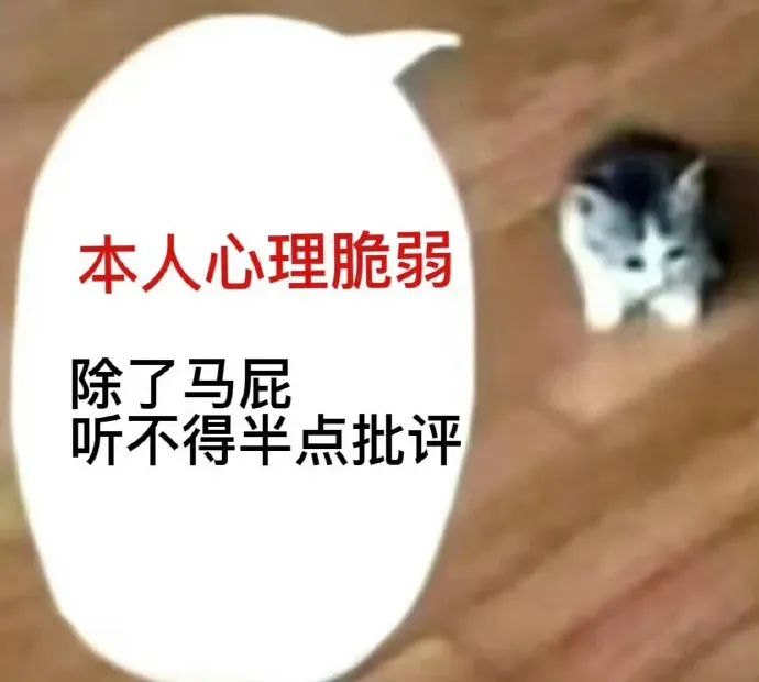 猫怎么补钙