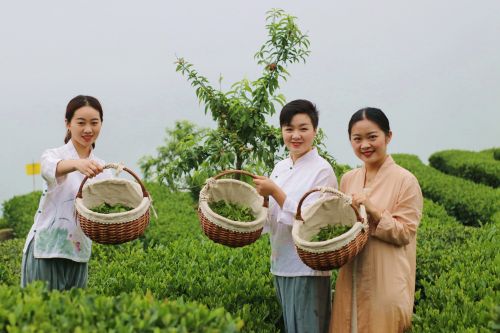 湖北恩施品牌富硒茶