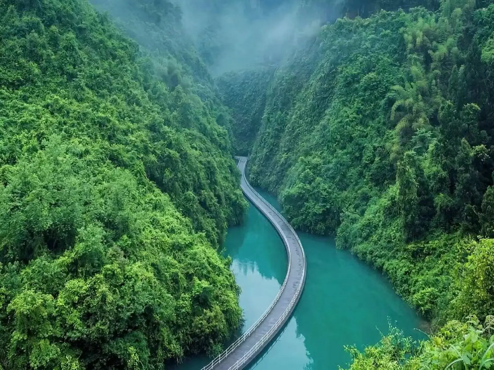 南昌恩施富硒茶地址