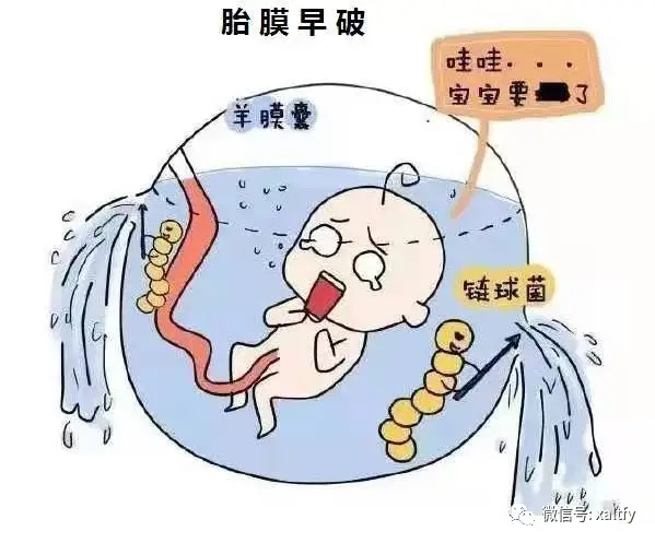 孕妇每天补铁100mg多吗