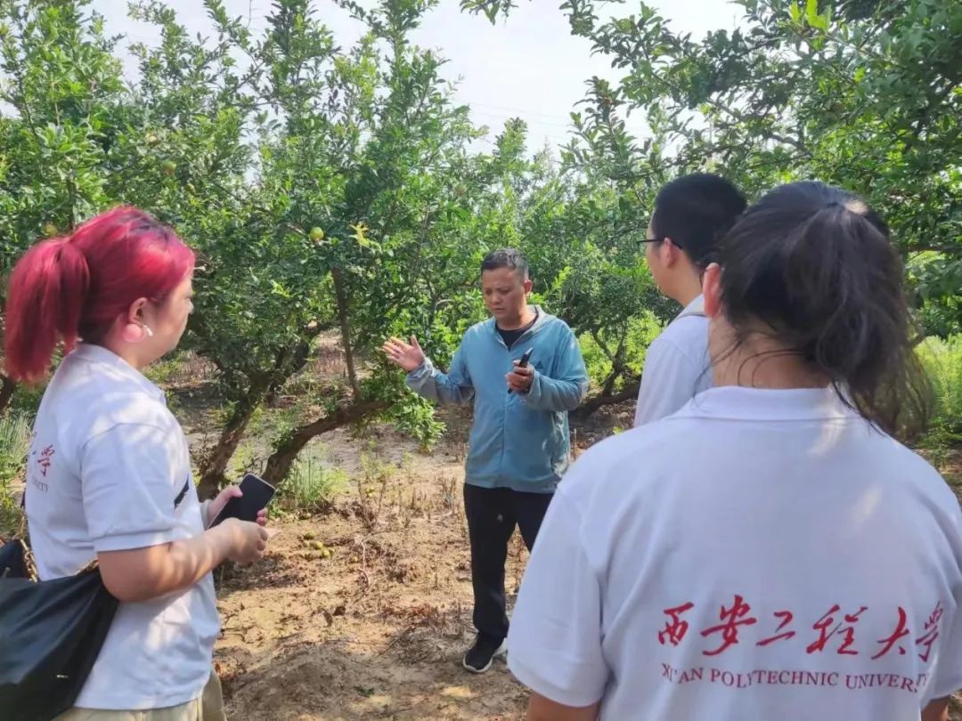 和平紫阳富硒茶西安