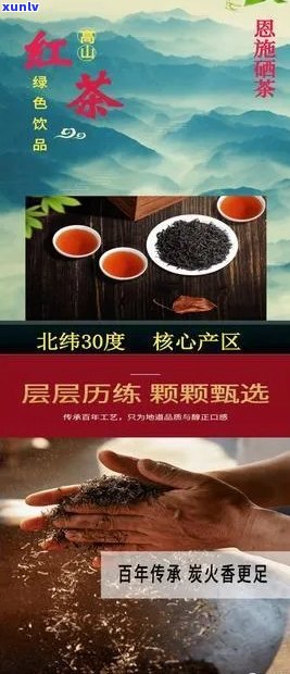 恩富硒红茶价格表-恩富硒红茶价格表图片