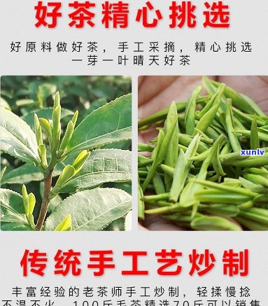 仙寓山野茶价格图片全揭秘：好不好？多少钱一斤？一次看透！