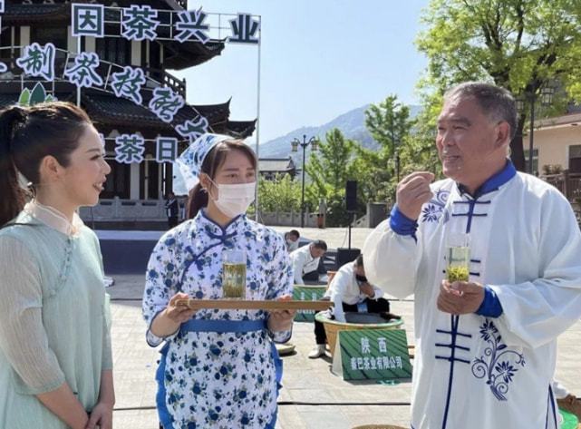 平利女娲富硒茶价格