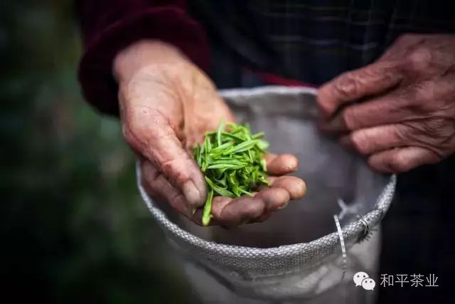 如何销售紫阳富硒茶