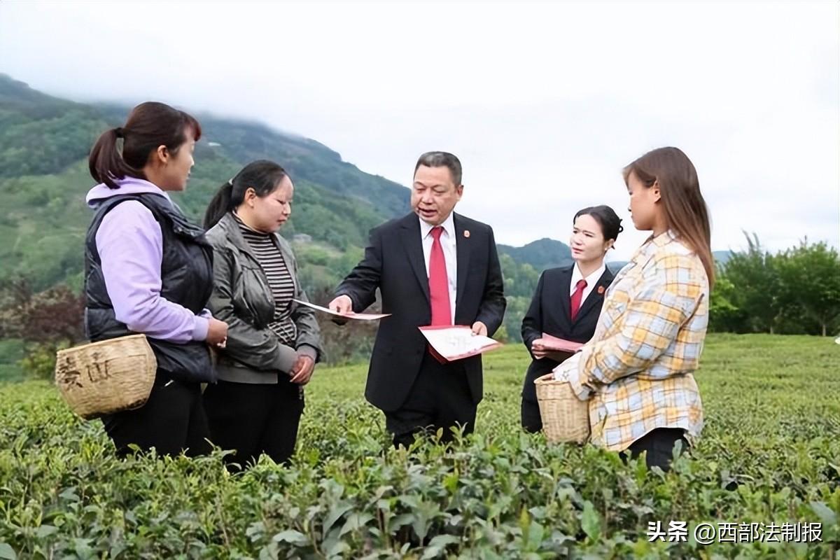 紫阳富硒茶地理标准