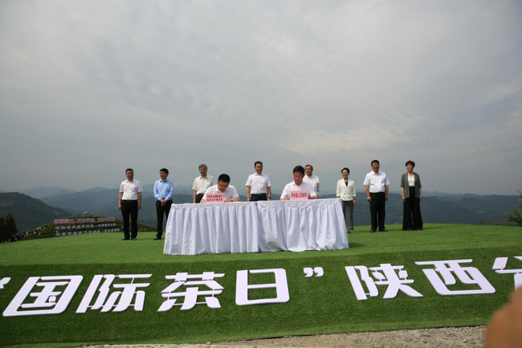 2021年“国际茶日”陕西分会场主题活动在安康平利启动_fororder_图片2