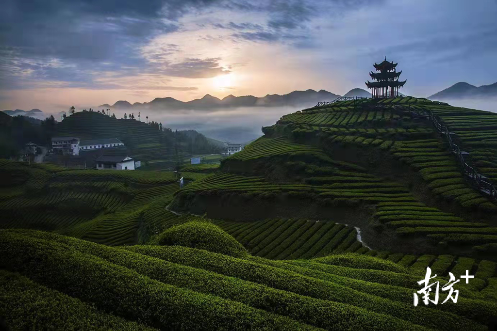 武昌富硒茶玉露企业