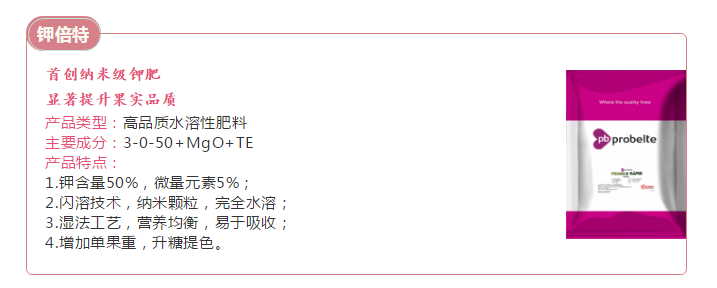 苹果补钙的最佳时间