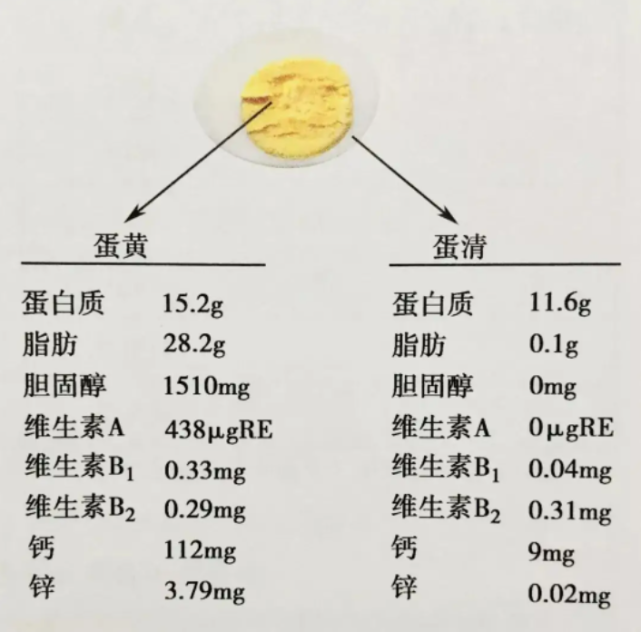 鸡蛋壳能补钙吗