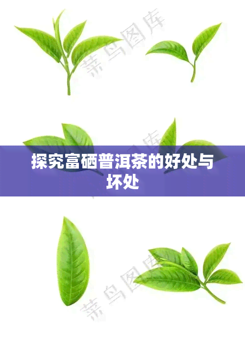 探究富硒普洱茶的好处与坏处