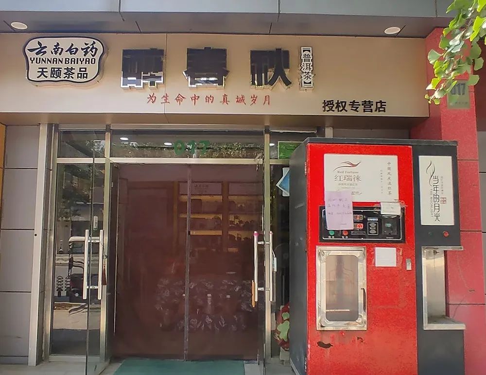 福建富硒普洱茶批发