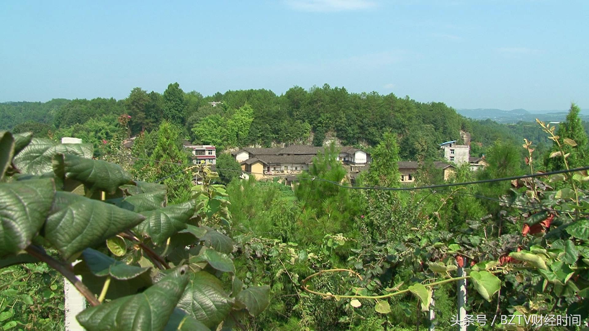 和平茶叶是富硒茶吗