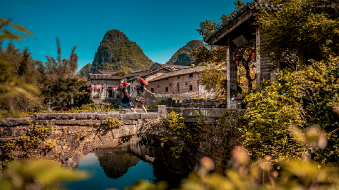 广西大藤峡 富硒茶