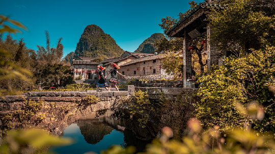 广西大藤峡 富硒茶