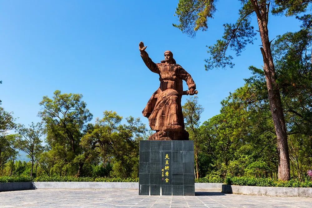 广西大藤峡 富硒茶