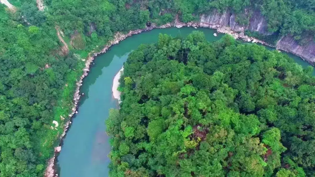 沩山富硒茶价格多少