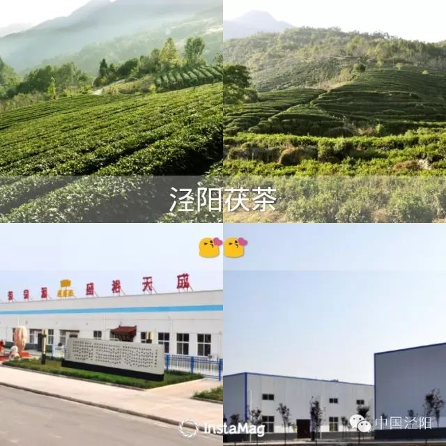 深圳哪里有卖富硒茶