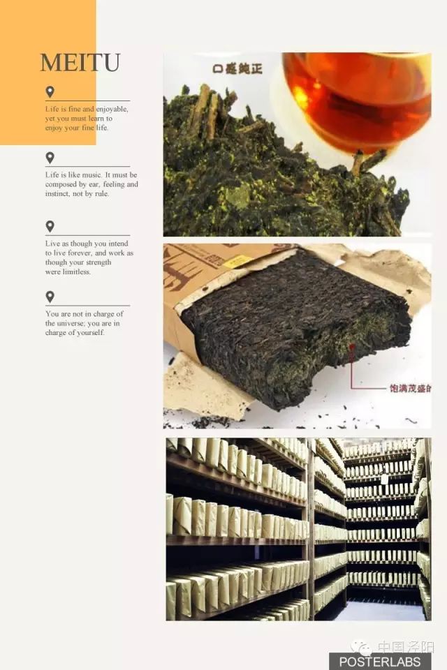 深圳哪里有卖富硒茶