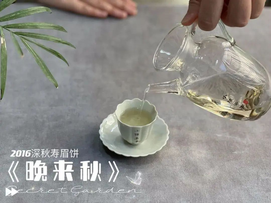 富硒茶喝了会上火吗