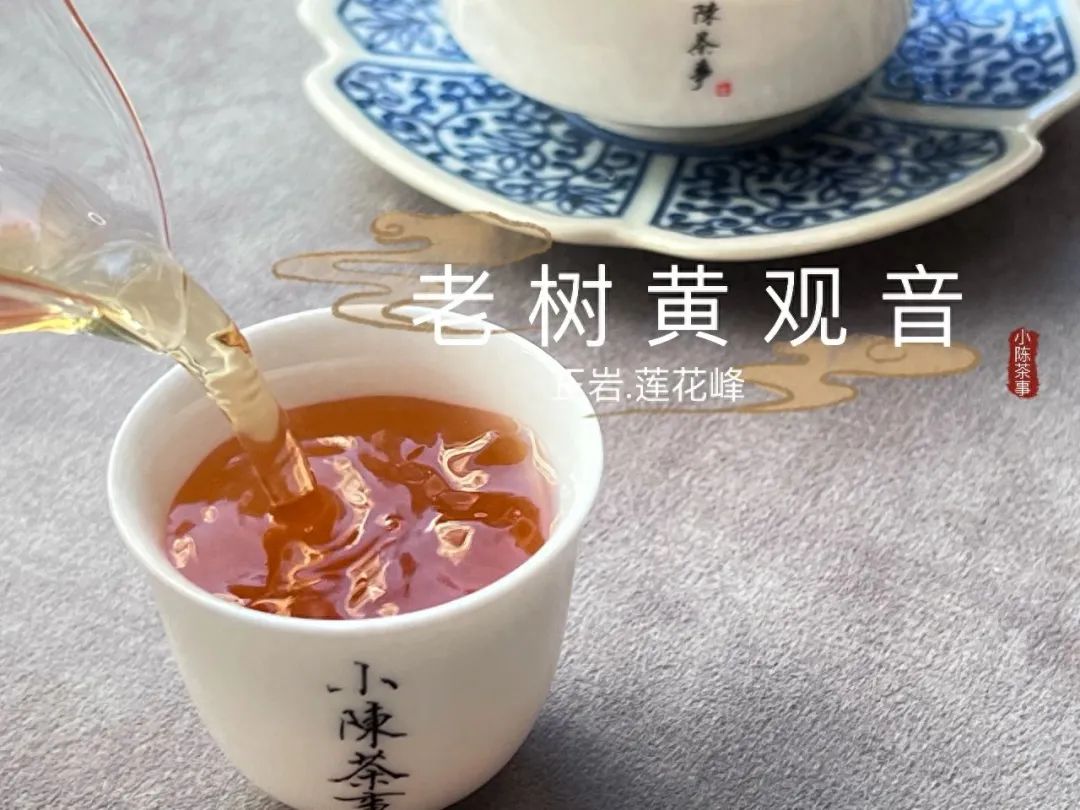 富硒茶喝了会上火吗