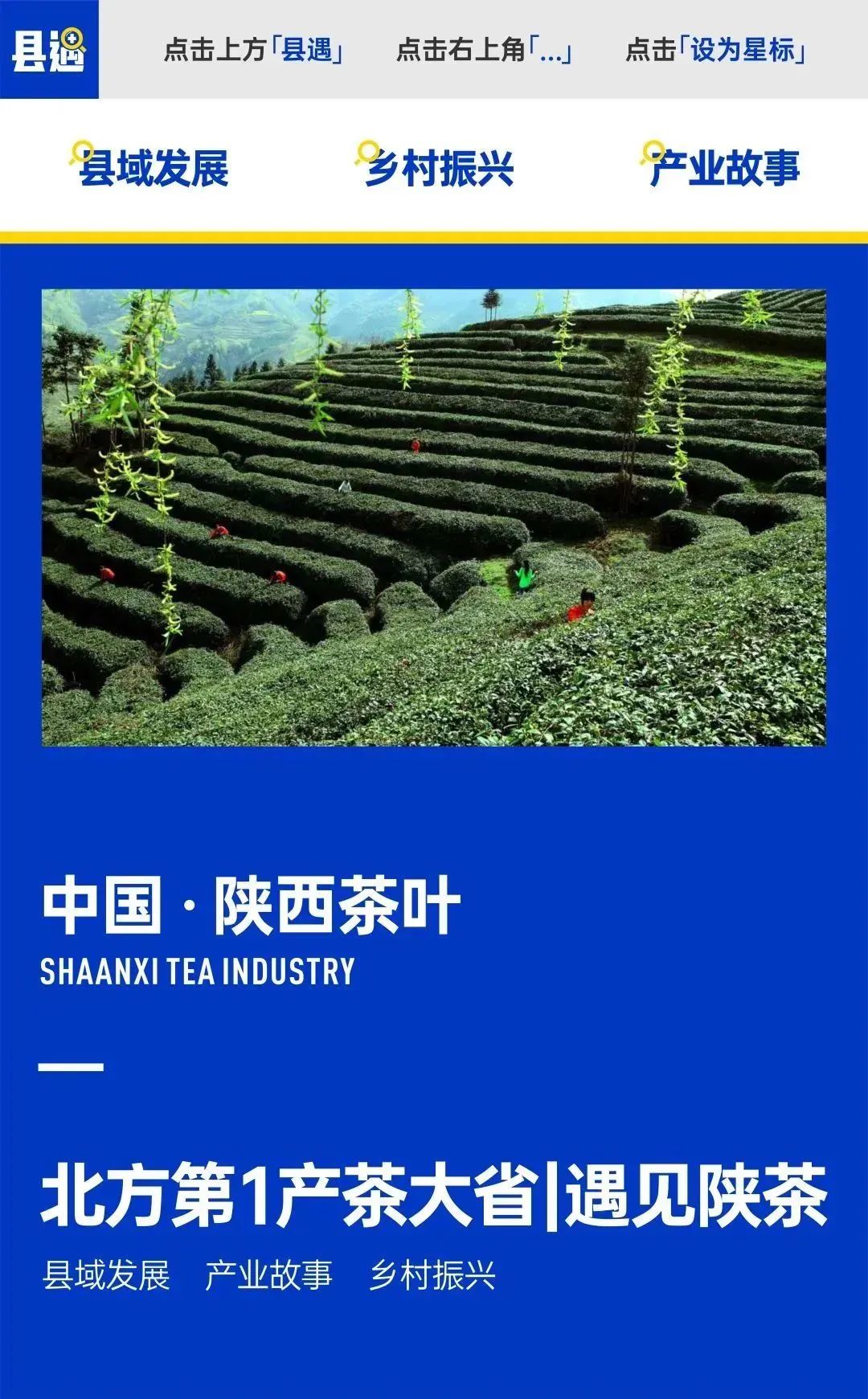 陕西富硒茶哪里有卖