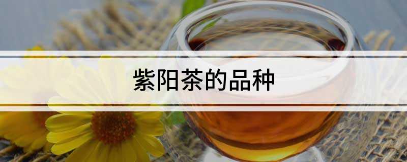 紫阳富硒茶有啥品种