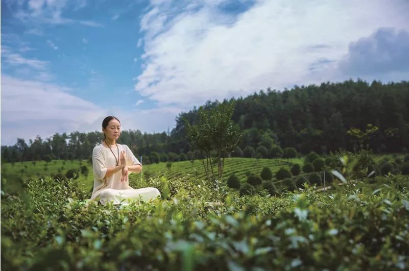 中国富锌富硒有机茶