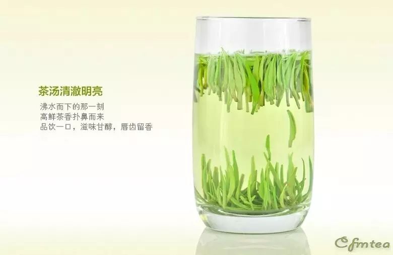 施恩富硒茶是绿茶吗