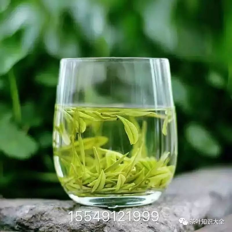 施恩富硒茶是绿茶吗