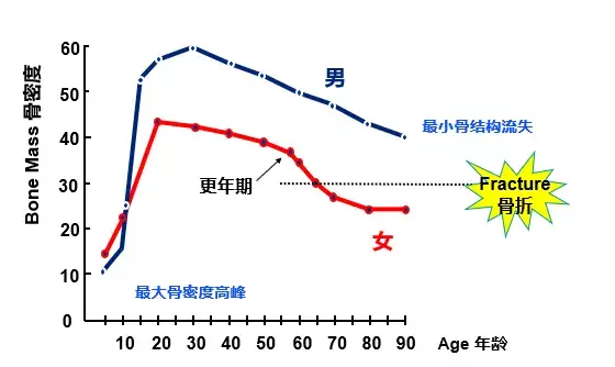 微量元素片