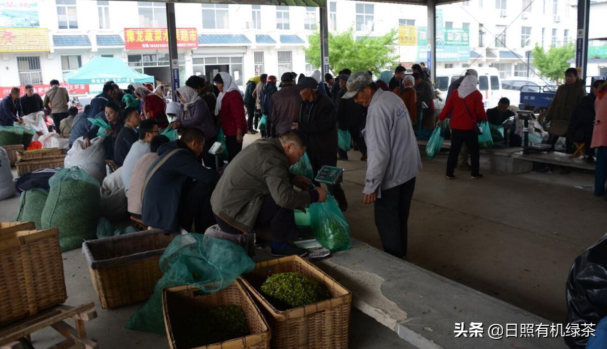 日照绿茶富硒明前茶