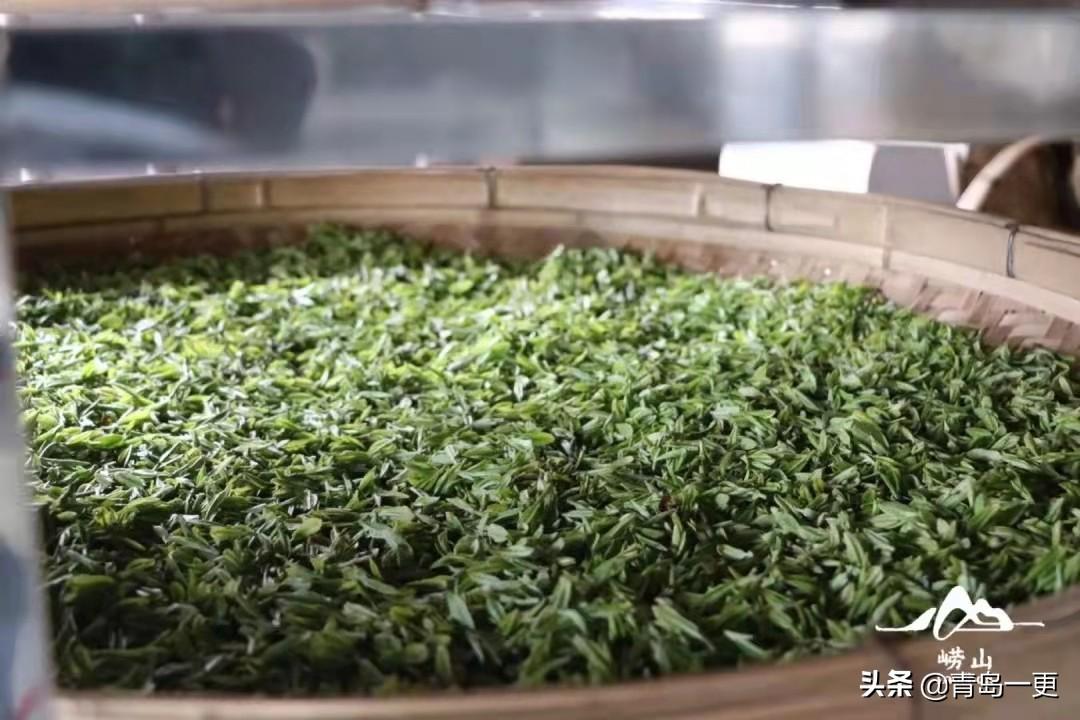 日照绿茶富硒明前茶