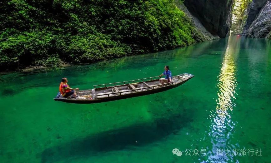 高山流水野生富硒茶