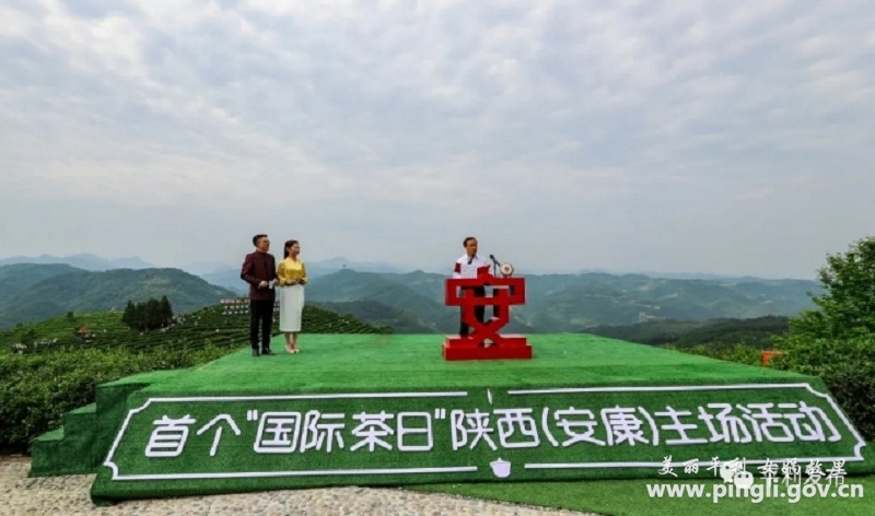 陕西富硒茶在哪个山