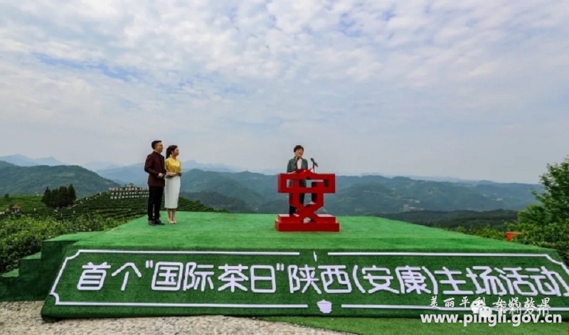 陕西富硒茶在哪个山