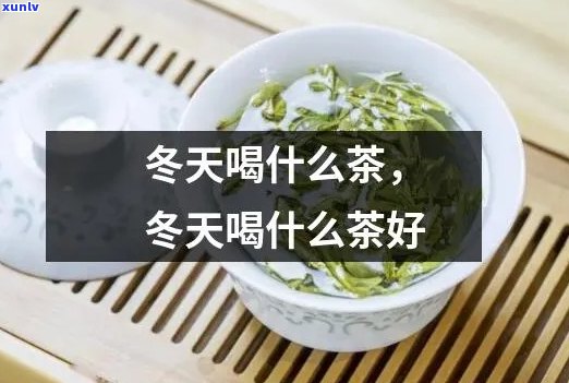 冬茶属于什么茶-冬茶属于什么茶类