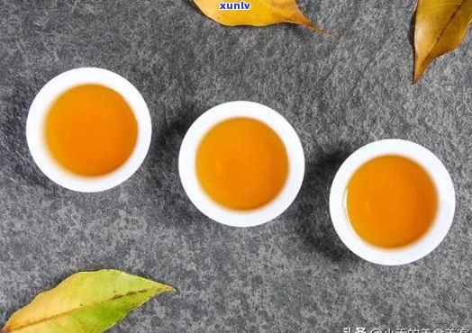 冬茶属于什么茶-冬茶属于什么茶类