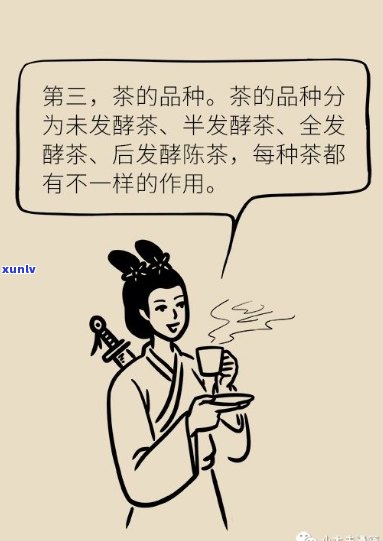 冬茶功效，探究冬茶的神奇功效，带你了解其健益处