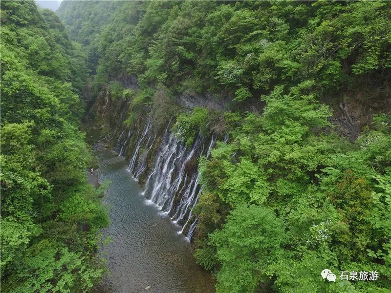 安康富硒茶不用洗吗