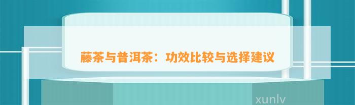 藤茶与普洱茶：功效比较与选择建议