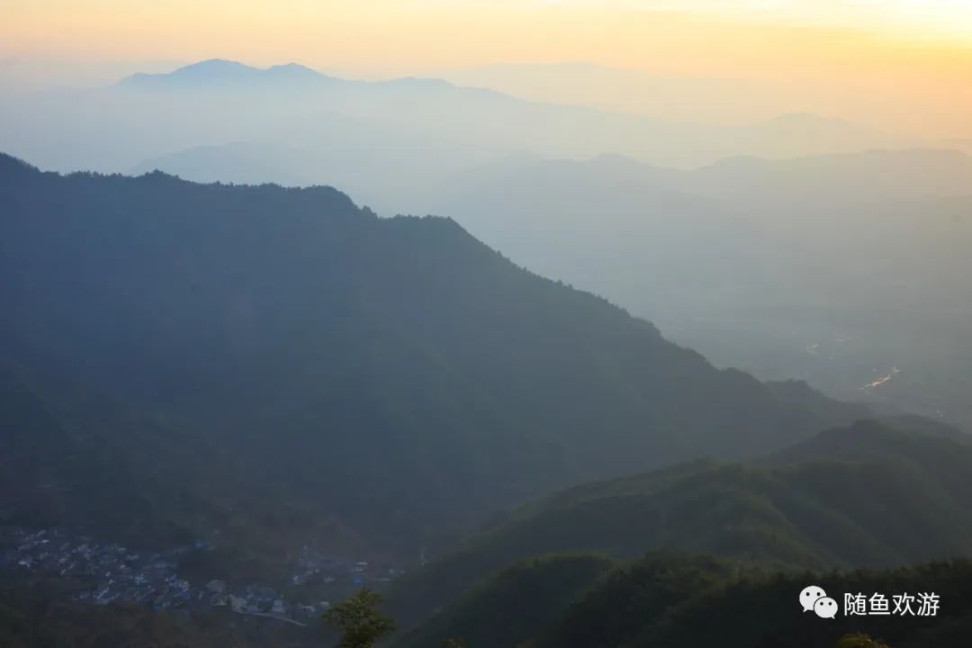 明前高山有机富硒茶