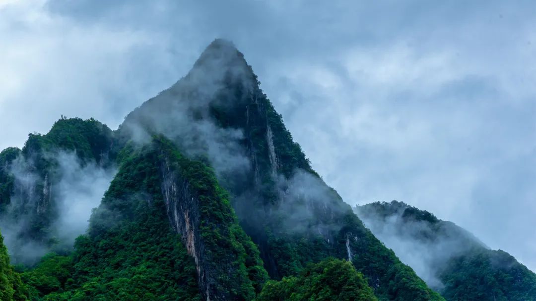 富硒野生茶是哪里的