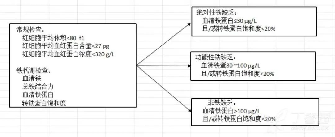 补铁的药