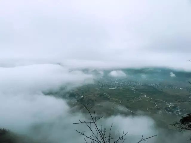 恩施富硒茶用农药吗