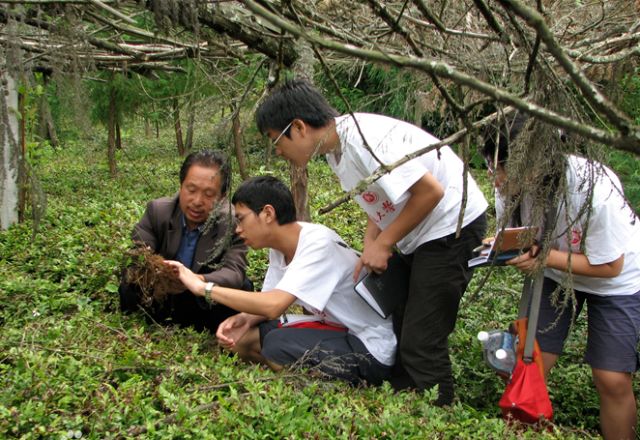 恩施富硒茶用农药吗