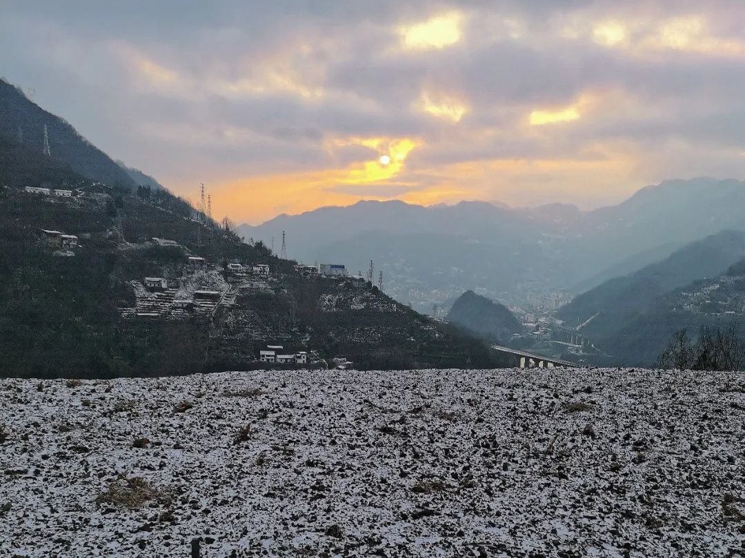 陕南富硒茶去哪里买